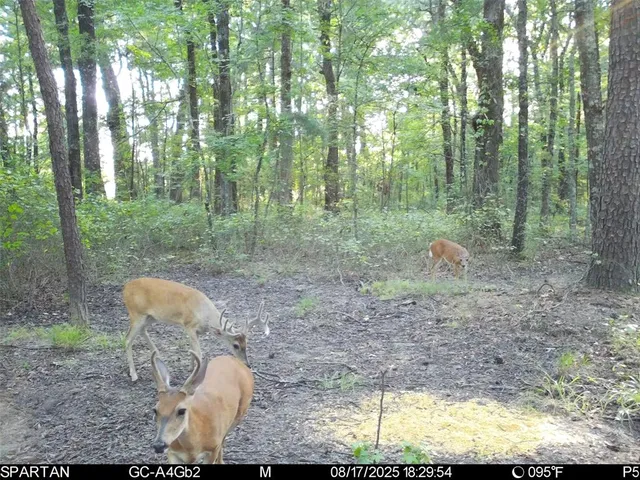 $1,235,620 | 0 County Road 2592, Naples, TX 75568