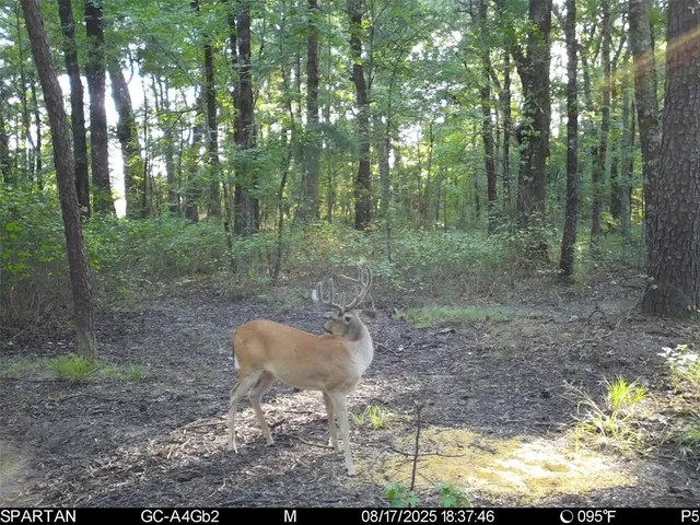 $1,235,620 | 0 County Road 2592, Naples, TX 75568