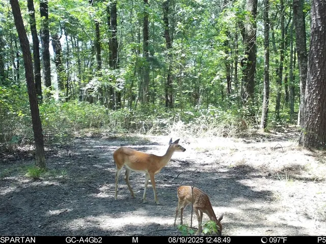 $1,235,620 | 0 County Road 2592, Naples, TX 75568