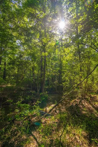 $1,235,620 | 0 County Road 2592, Naples, TX 75568