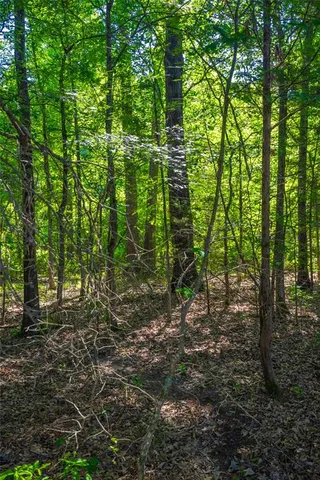 $1,235,620 | 0 County Road 2592, Naples, TX 75568