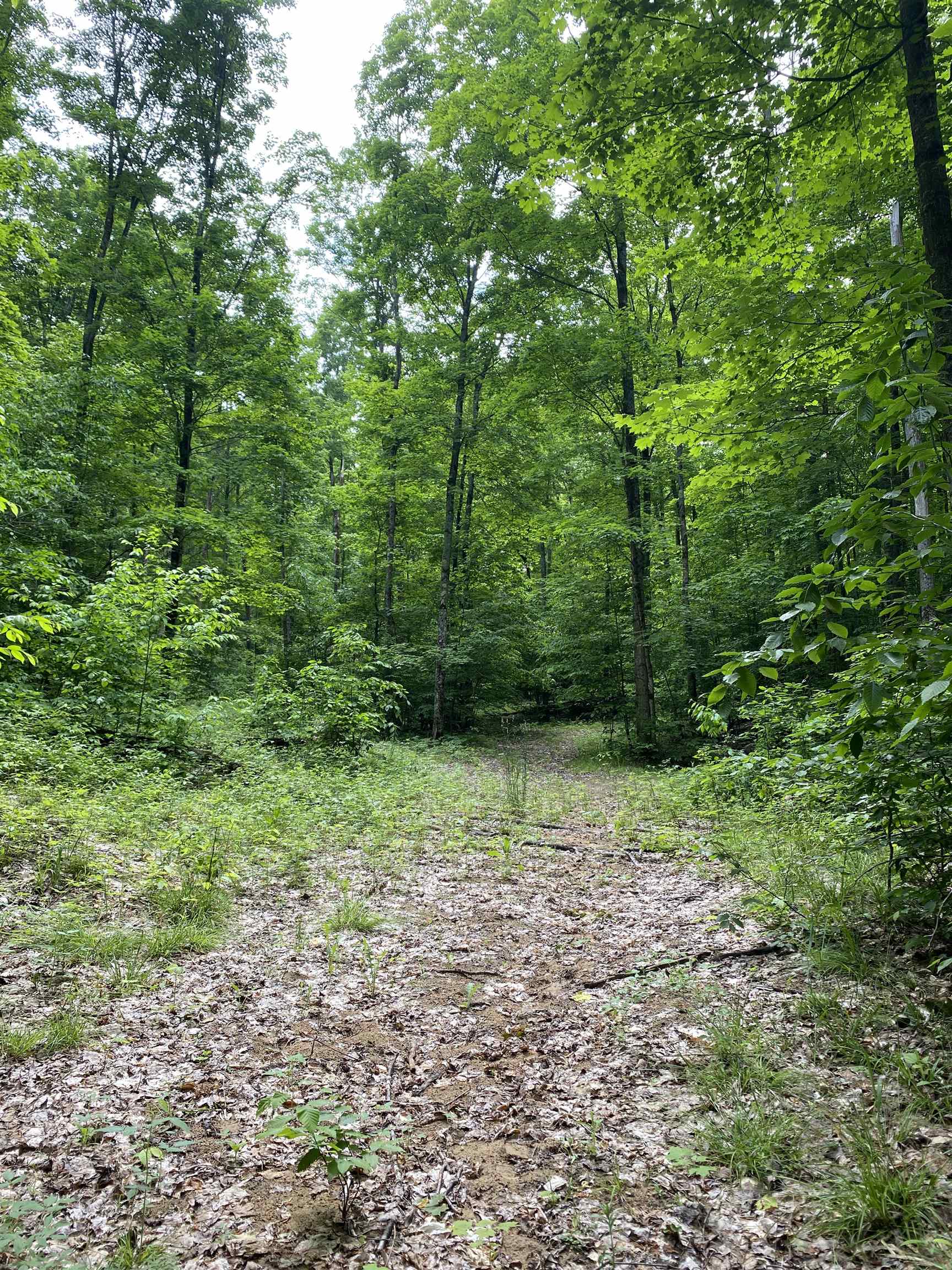 3 Stark Road, Unit LOT: 3 Mancelona, MI 49659 - Photo 22 of 26