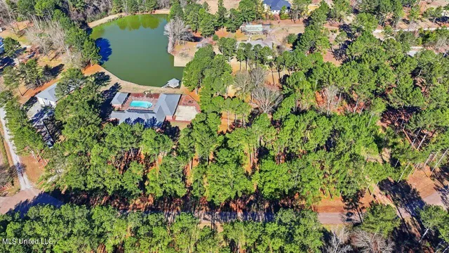 $1,450,000 | 123 Lakeshire Cove, Canton, MS 39046