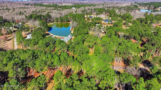 $1,450,000 | 123 Lakeshire Cove, Canton, MS 39046