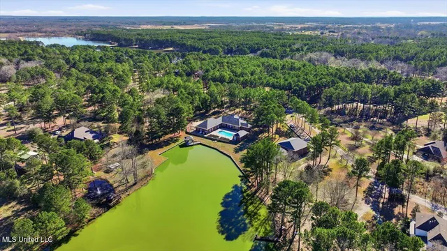 $1,450,000 | 123 Lakeshire Cove, Canton, MS 39046