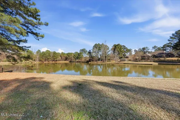 $1,299,000 | 123 Lakeshire Cove, Canton, MS 39046