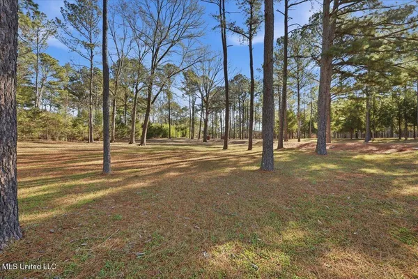 $1,299,000 | 123 Lakeshire Cove, Canton, MS 39046