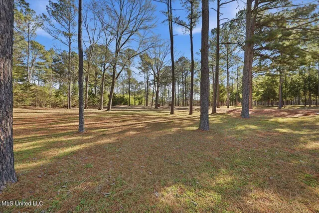 $1,450,000 | 123 Lakeshire Cove, Canton, MS 39046