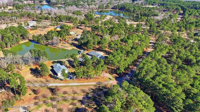 $1,450,000 | 123 Lakeshire Cove, Canton, MS 39046