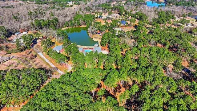 $1,450,000 | 123 Lakeshire Cove, Canton, MS 39046