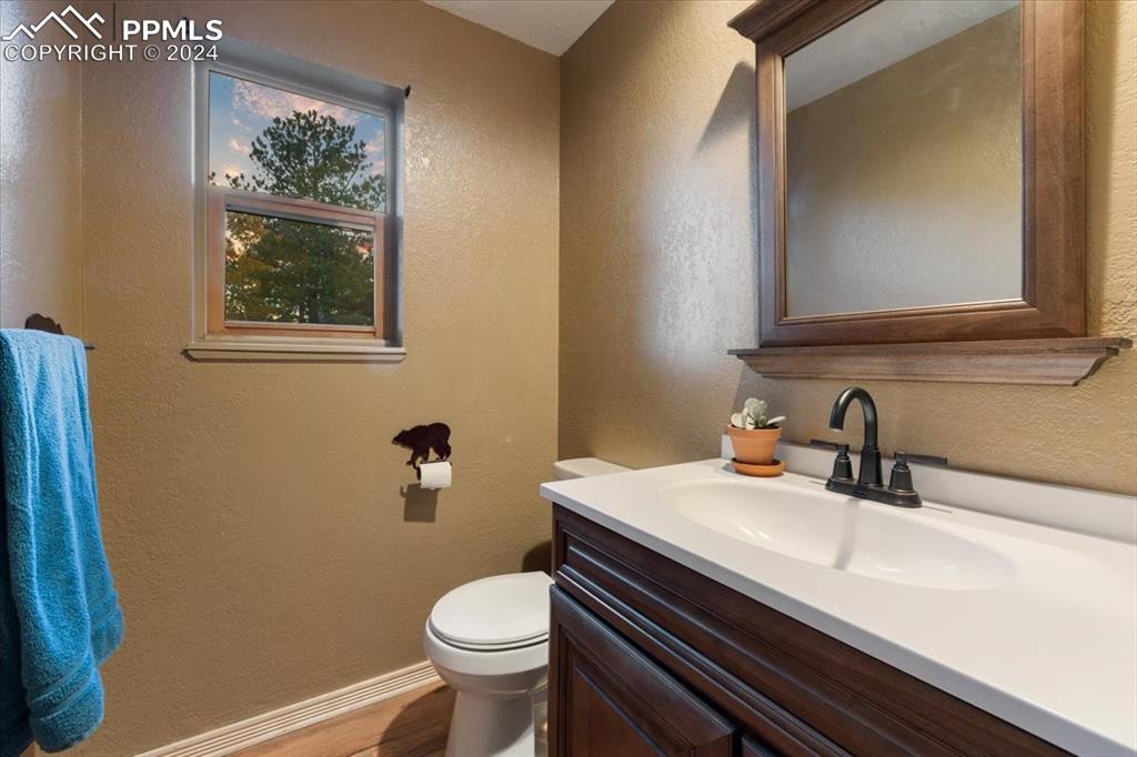 123 Maroon Lake Circle Divide, CO 80814 - Photo 24 of 47 a bathroom with a sink a toilet and mirror
