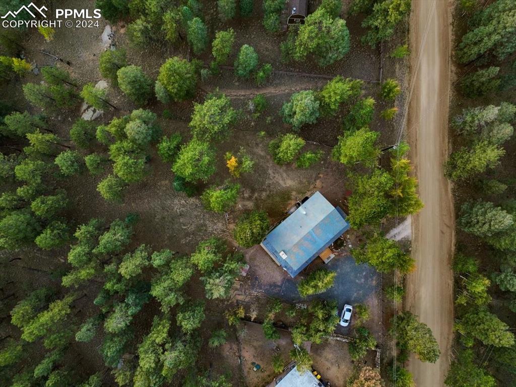 123 Maroon Lake Circle Divide, CO 80814 - Photo 47 of 47 an aerial view of a house with a yard and lake view