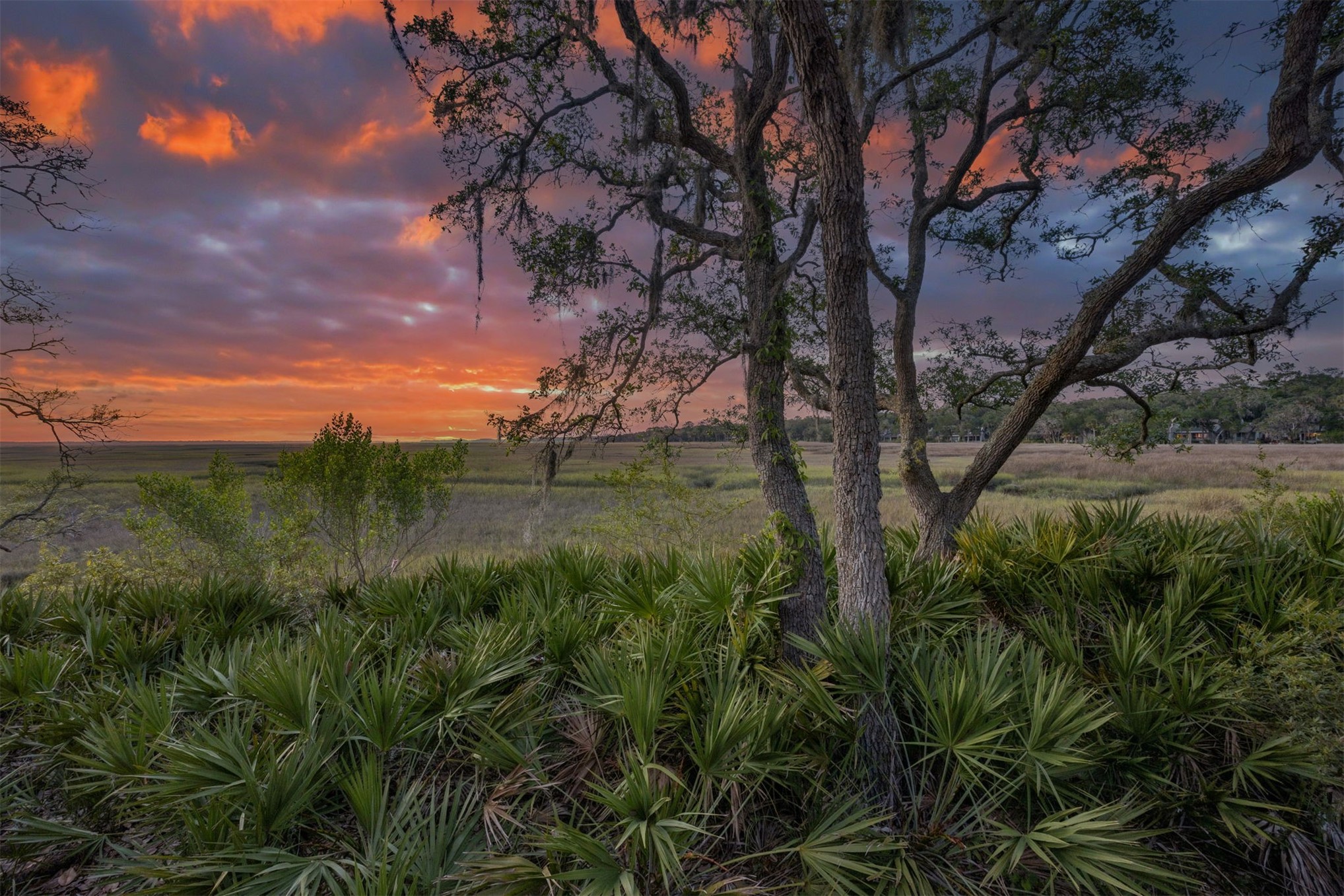 3111 Sea Marsh Road Fernandina Beach, FL 32034 - Photo 7 of 13