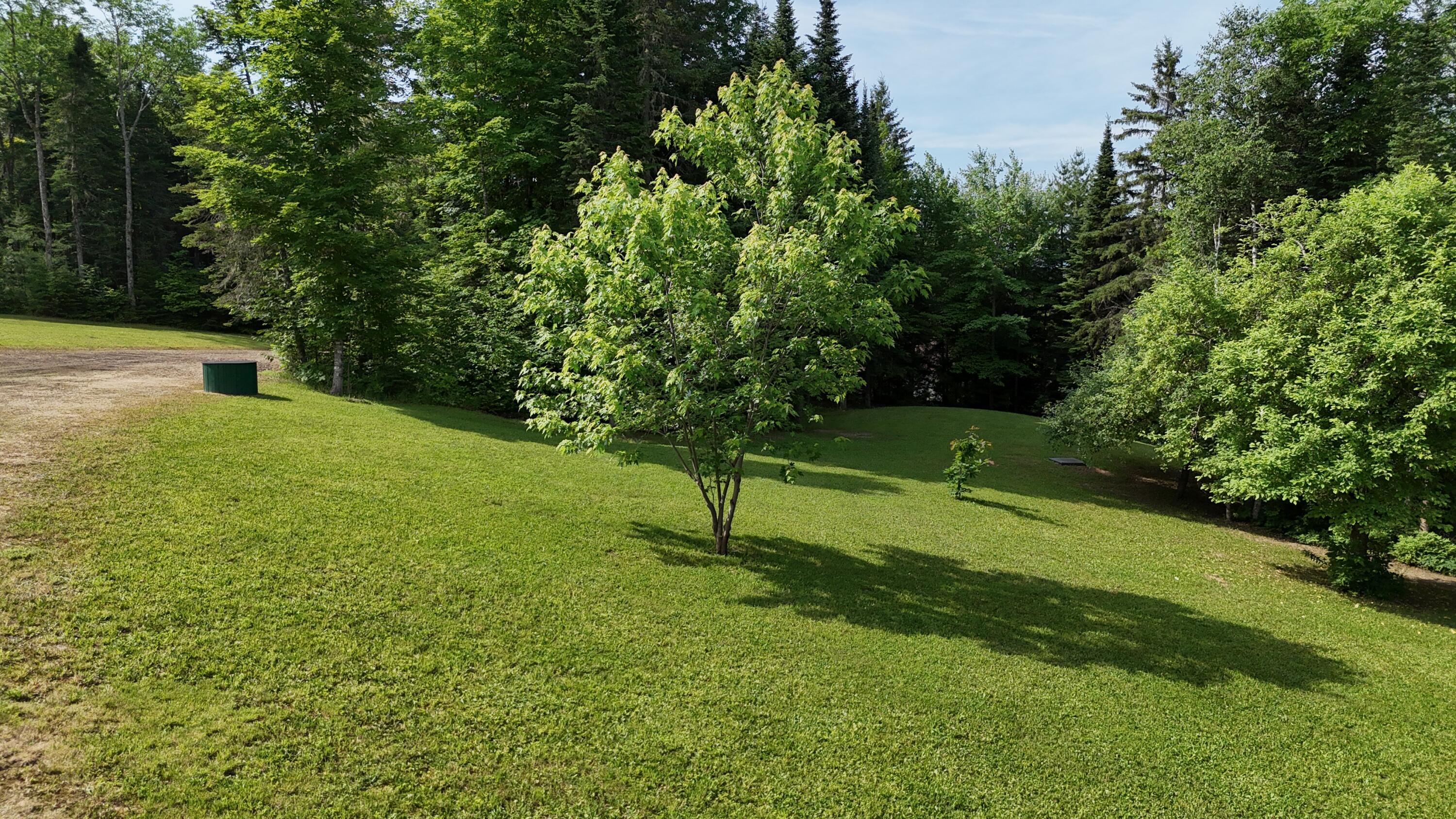 3844 West Chapman Road Chapman, ME 04757 - Photo 21 of 29 DJI_20260703094034_0034_D