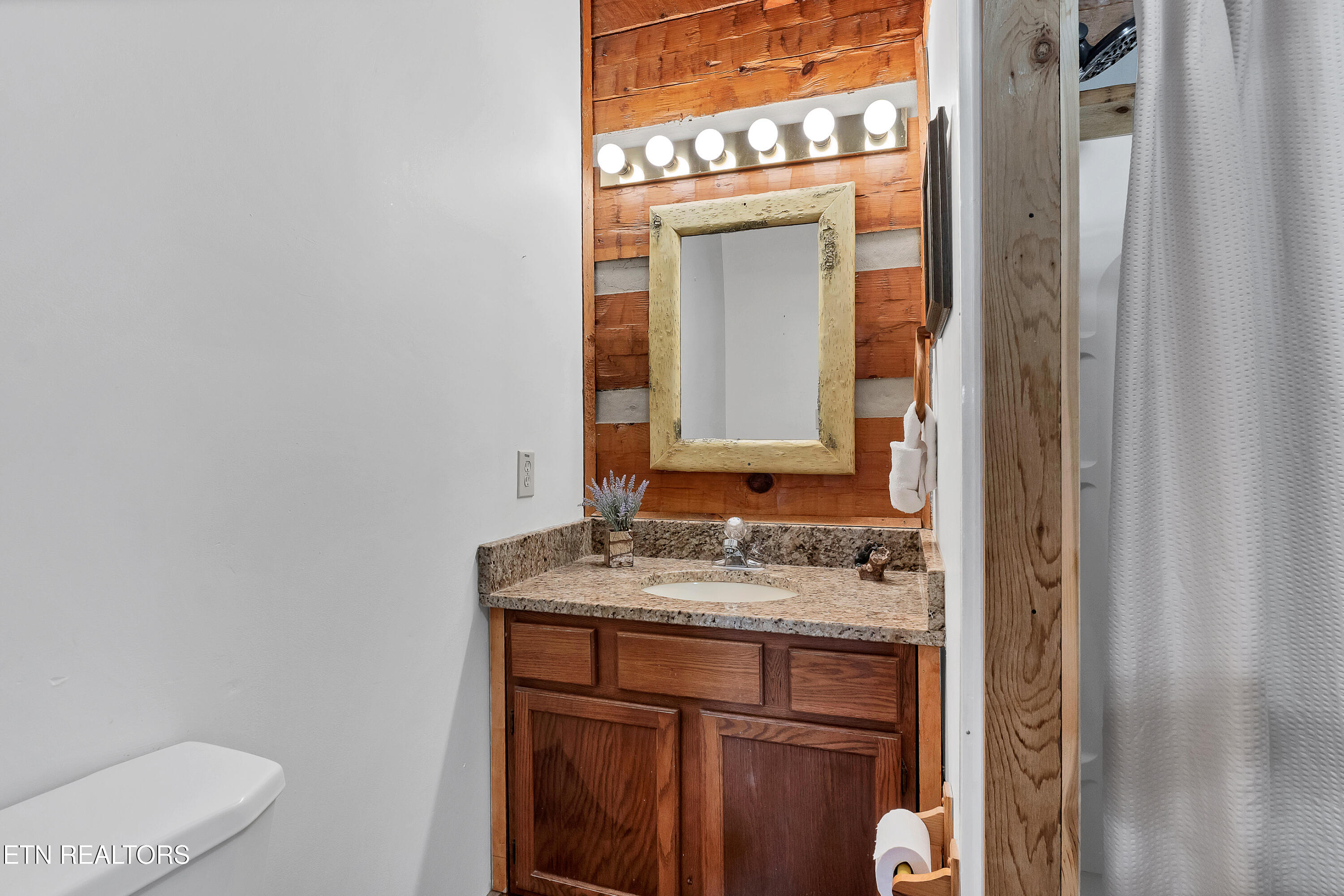 151 Timberwinds Way Townsend, TN 37882 - Photo 23 of 33 DSC04182