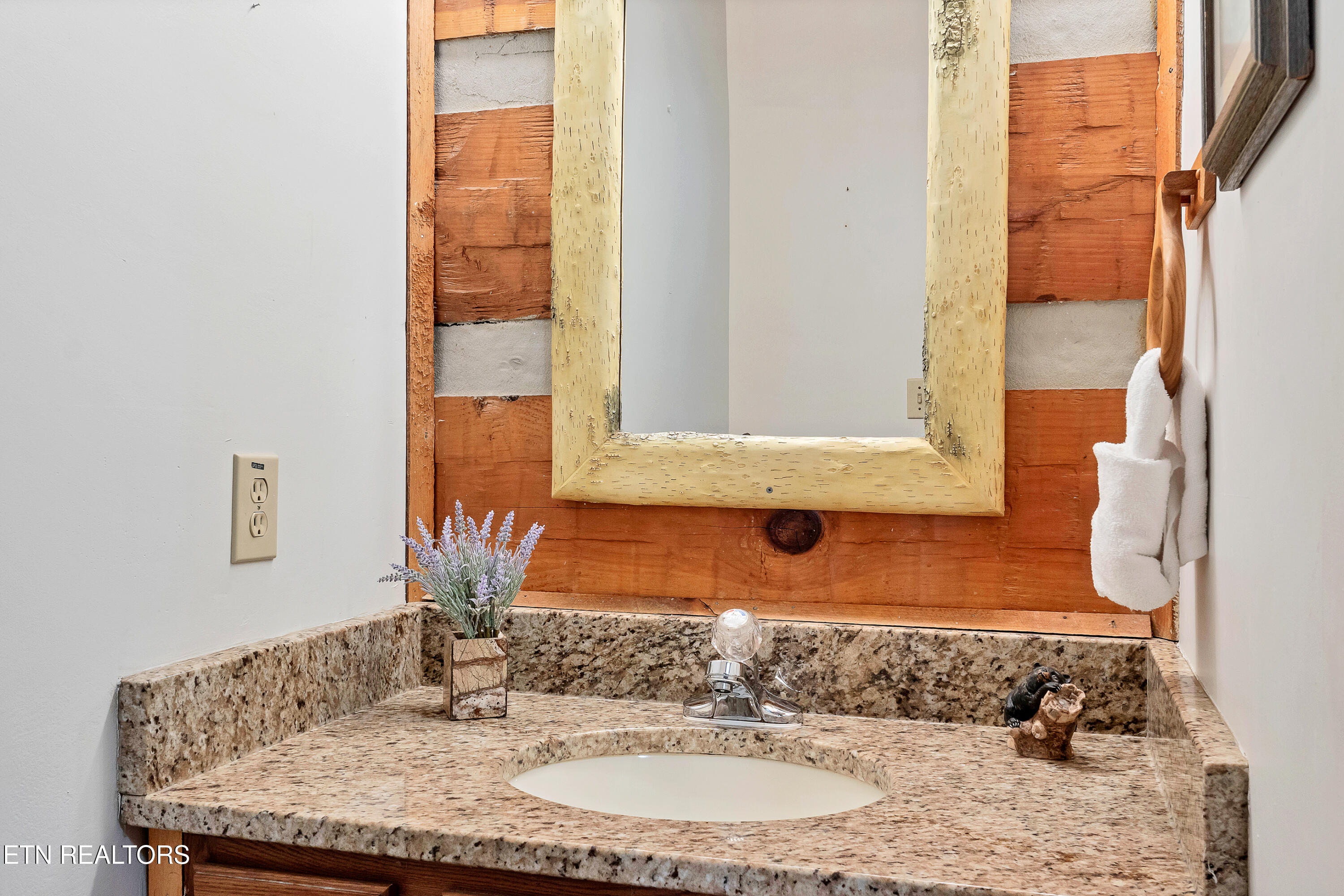 151 Timberwinds Way Townsend, TN 37882 - Photo 24 of 33 DSC04187