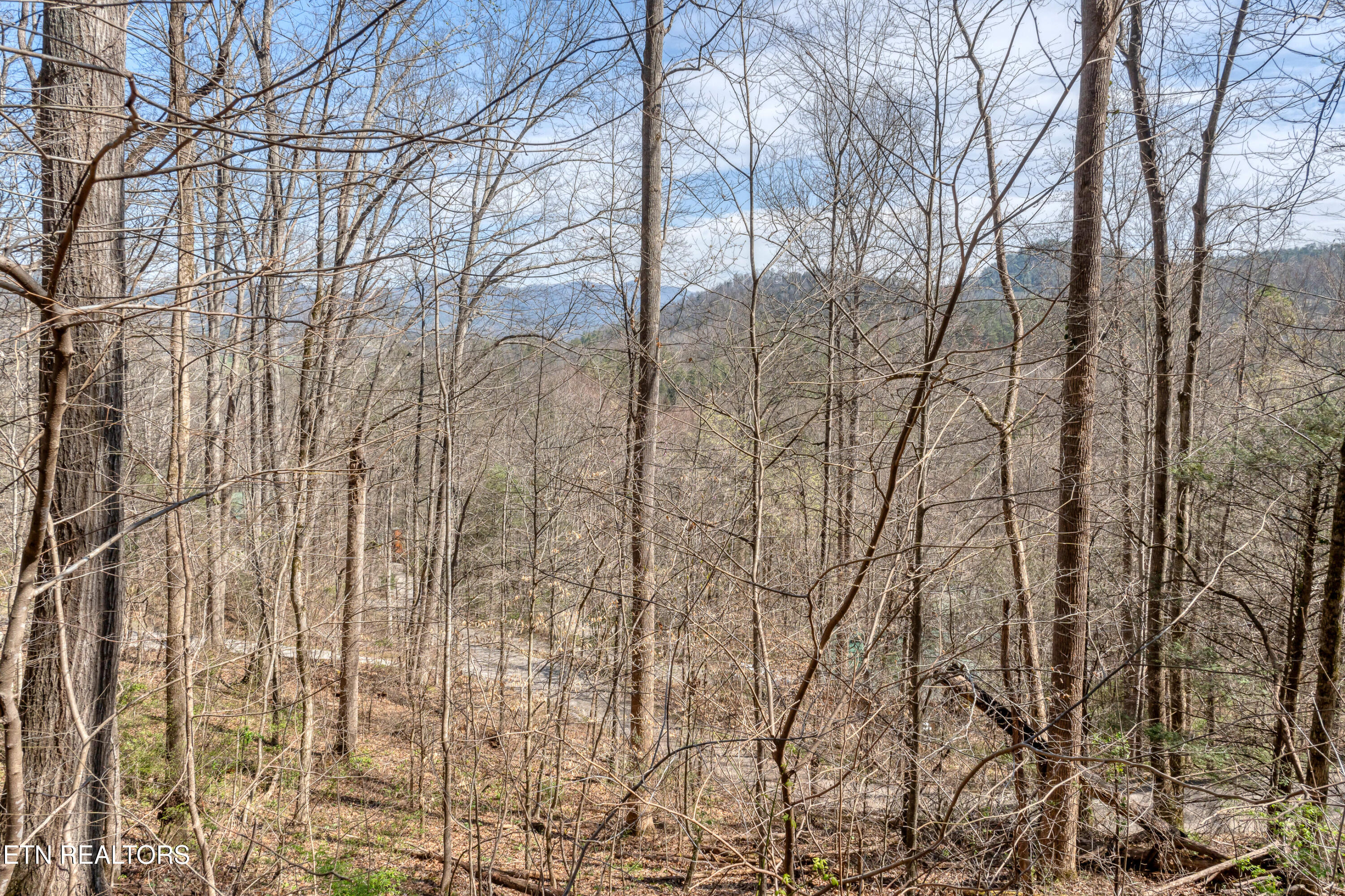 151 Timberwinds Way Townsend, TN 37882 - Photo 30 of 33 DSC04248