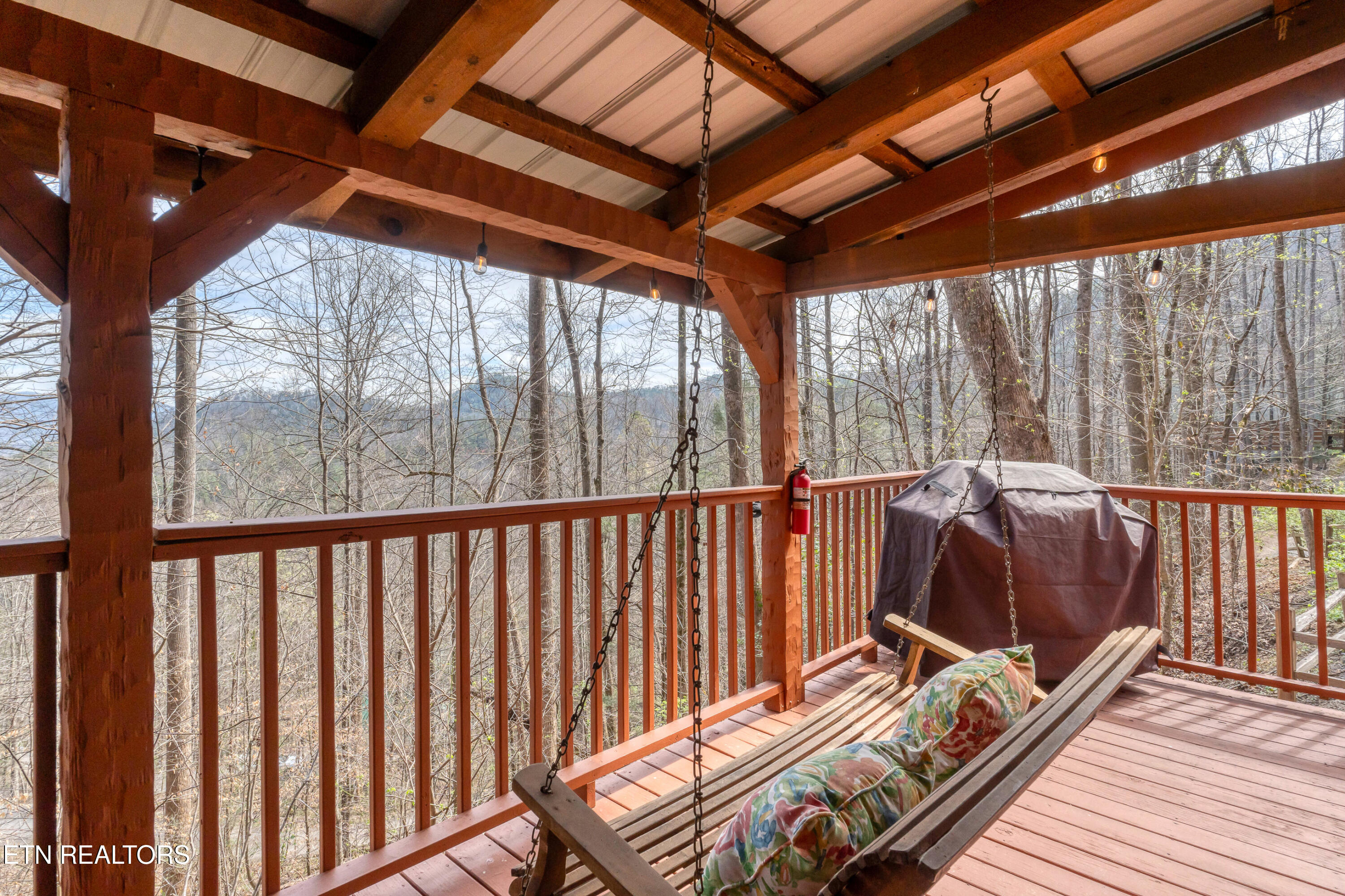151 Timberwinds Way Townsend, TN 37882 - Photo 6 of 33 DSC04153