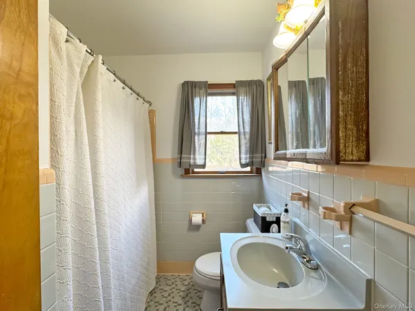 a bathroom with a sink a toilet and a mirror