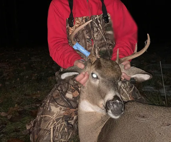 $996,000 | 1609 South Sage Lake Road, Hale, MI 48739