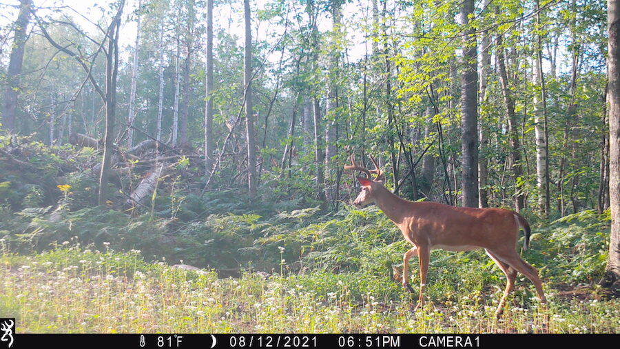 1609 South Sage Lake Road Hale, MI 48739 - Photo 141 of 164 IMG_0033
