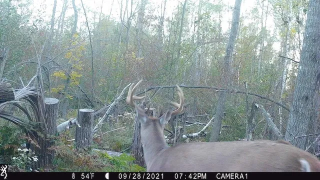 $996,000 | 1609 South Sage Lake Road, Hale, MI 48739