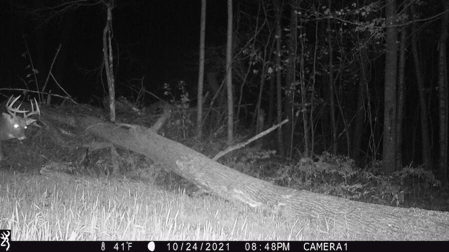 1609 South Sage Lake Road Hale, MI 48739 - Photo 144 of 164 IMG_0081
