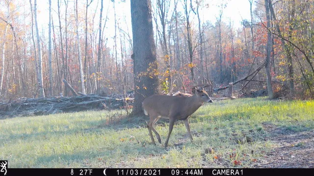 $996,000 | 1609 South Sage Lake Road, Hale, MI 48739