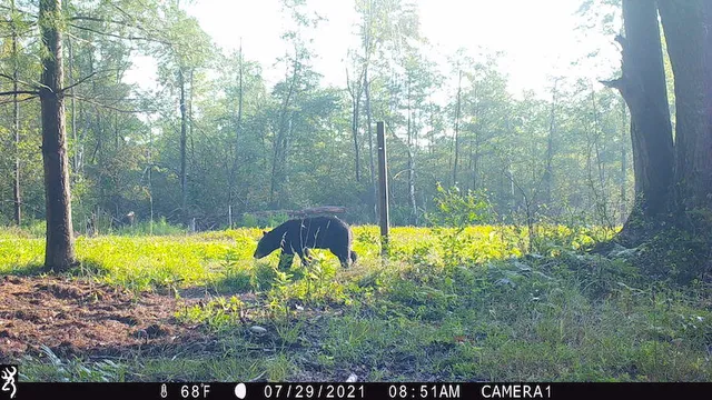 $996,000 | 1609 South Sage Lake Road, Hale, MI 48739