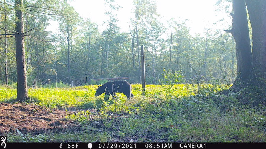 1609 South Sage Lake Road Hale, MI 48739 - Photo 146 of 164 IMG_0252