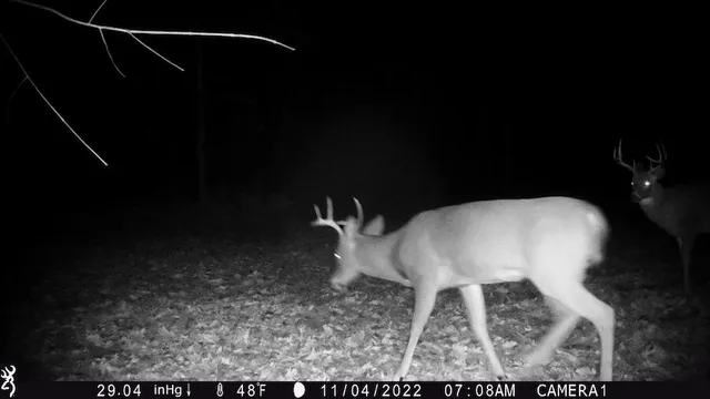 $996,000 | 1609 South Sage Lake Road, Hale, MI 48739