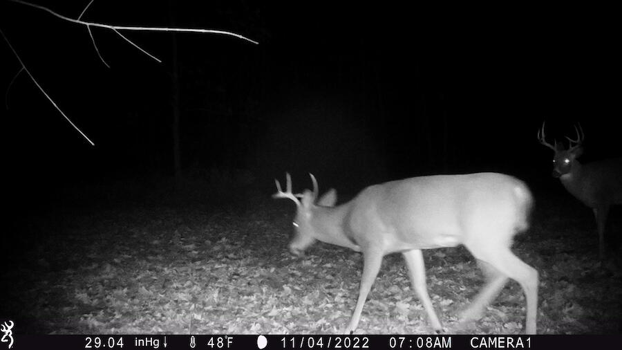 1609 South Sage Lake Road Hale, MI 48739 - Photo 147 of 164 IMG_0814