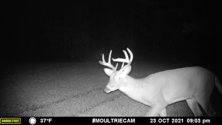 1609 South Sage Lake Road Hale, MI 48739 - Photo 148 of 164 MFDC0022