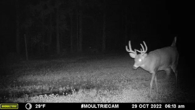 $996,000 | 1609 South Sage Lake Road, Hale, MI 48739