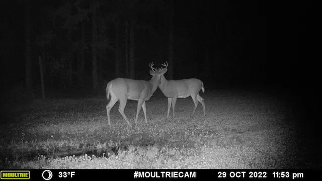 $996,000 | 1609 South Sage Lake Road, Hale, MI 48739