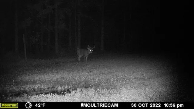 $996,000 | 1609 South Sage Lake Road, Hale, MI 48739