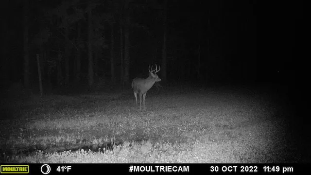 $996,000 | 1609 South Sage Lake Road, Hale, MI 48739