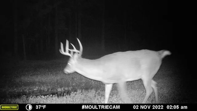 $996,000 | 1609 South Sage Lake Road, Hale, MI 48739