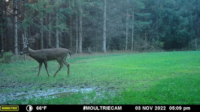 $996,000 | 1609 South Sage Lake Road, Hale, MI 48739