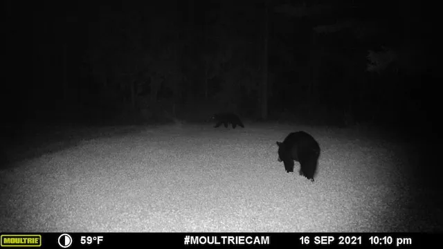 $996,000 | 1609 South Sage Lake Road, Hale, MI 48739