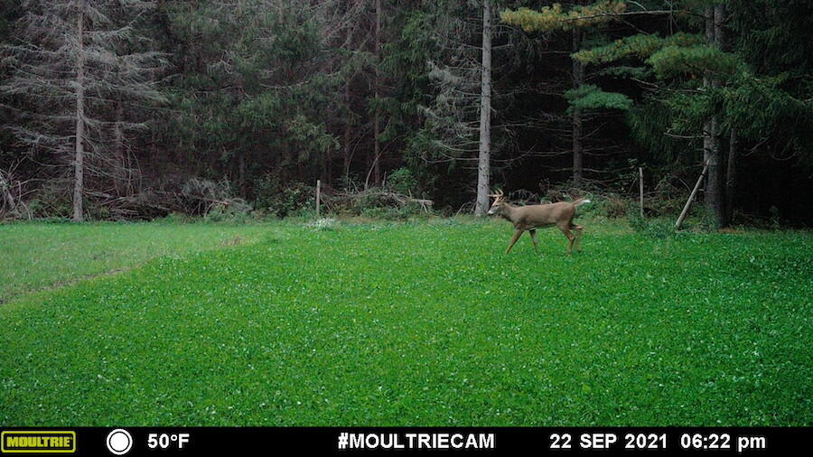 1609 South Sage Lake Road Hale, MI 48739 - Photo 161 of 164 MFDC8888