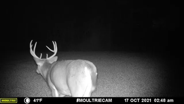 $996,000 | 1609 South Sage Lake Road, Hale, MI 48739