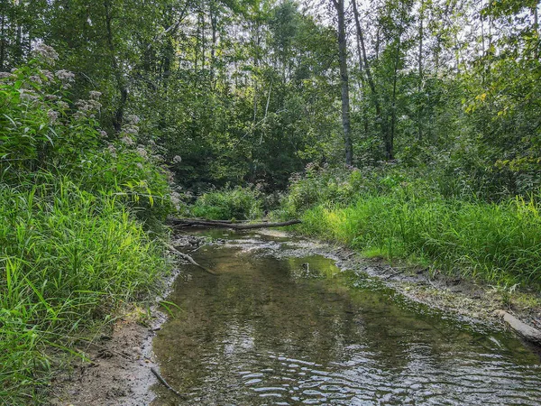 $875,000 | 1609 South Sage Lake Road, Hale, MI 48739