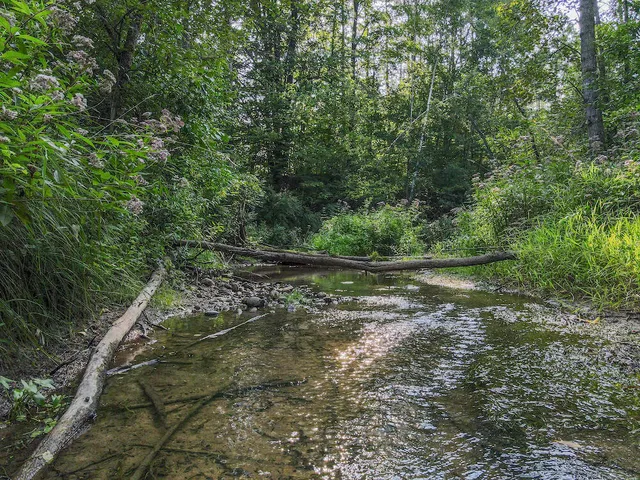 $996,000 | 1609 South Sage Lake Road, Hale, MI 48739