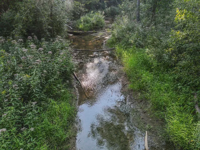 $996,000 | 1609 South Sage Lake Road, Hale, MI 48739