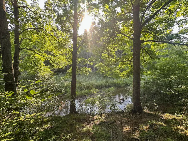 $996,000 | 1609 South Sage Lake Road, Hale, MI 48739