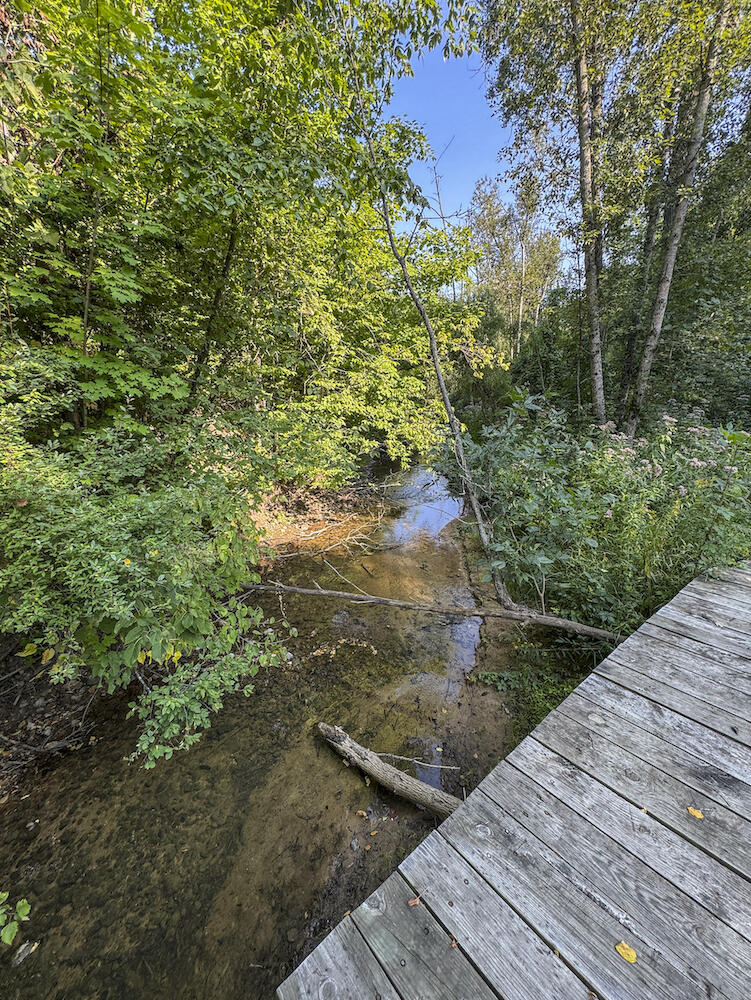 1609 South Sage Lake Road Hale, MI 48739 - Photo 40 of 164 Hale Property-15