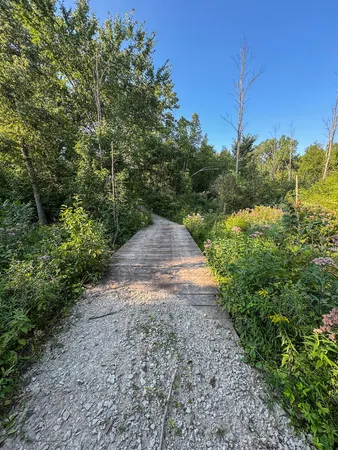 $875,000 | 1609 South Sage Lake Road, Hale, MI 48739