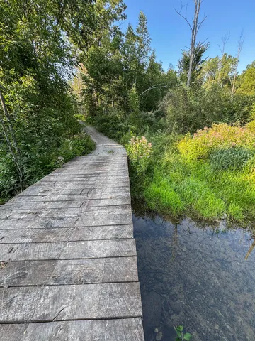 $996,000 | 1609 South Sage Lake Road, Hale, MI 48739