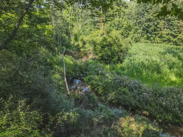 $875,000 | 1609 South Sage Lake Road, Hale, MI 48739